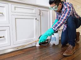 Best Real Estate Pest Inspections  in Endwell, NY